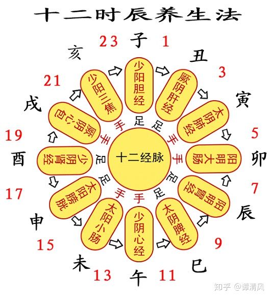 最全任督二脉、十二经络与子午流注汇总